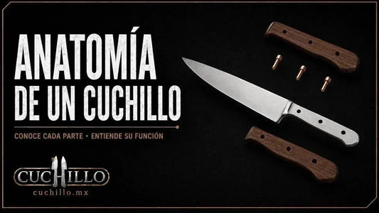 Anatomía de un Cuchillo - Cuchillo.mx